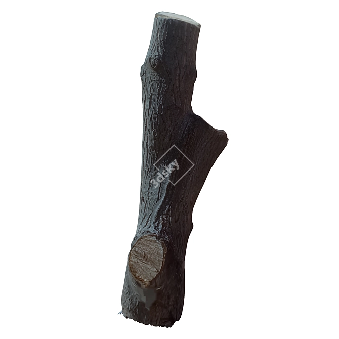 Natural Wooden Tree Trunk 36 3D model image 2