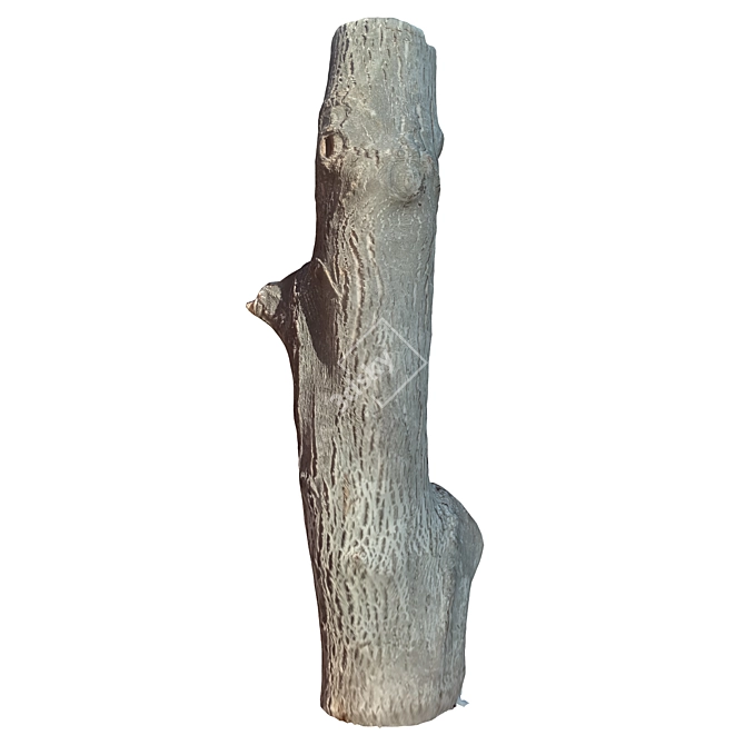 Natural Wooden Tree Trunk 36 3D model image 3