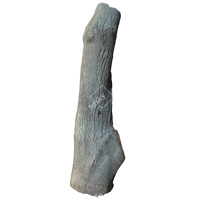 Natural Wooden Tree Trunk 36 3D model image 4