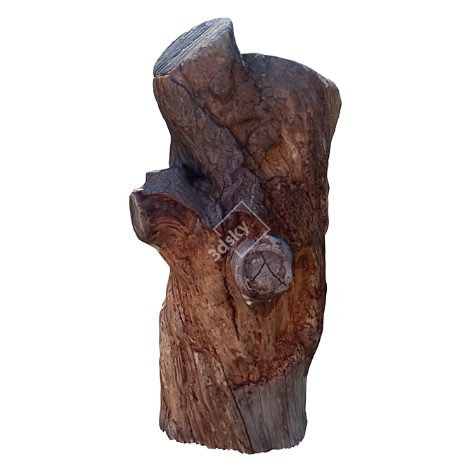 Natural Wood Tree Trunk Sculpture 3D model image 2
