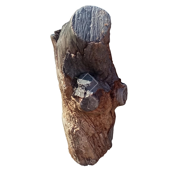 Natural Wood Tree Trunk Sculpture 3D model image 5