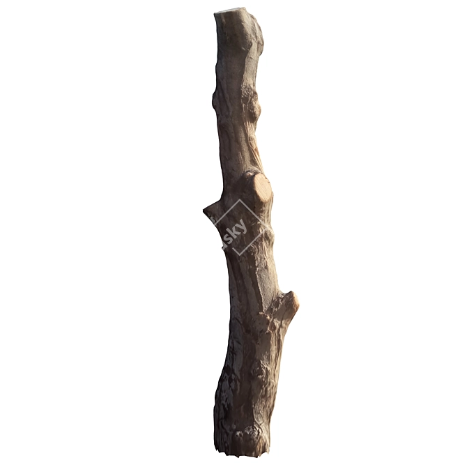 Natural Tree Trunk Decor 3D model image 2