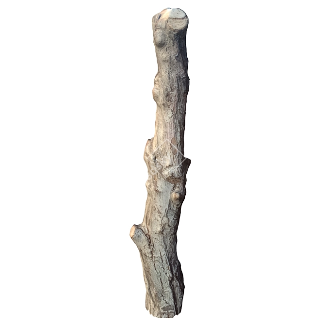 Natural Tree Trunk Decor 3D model image 4