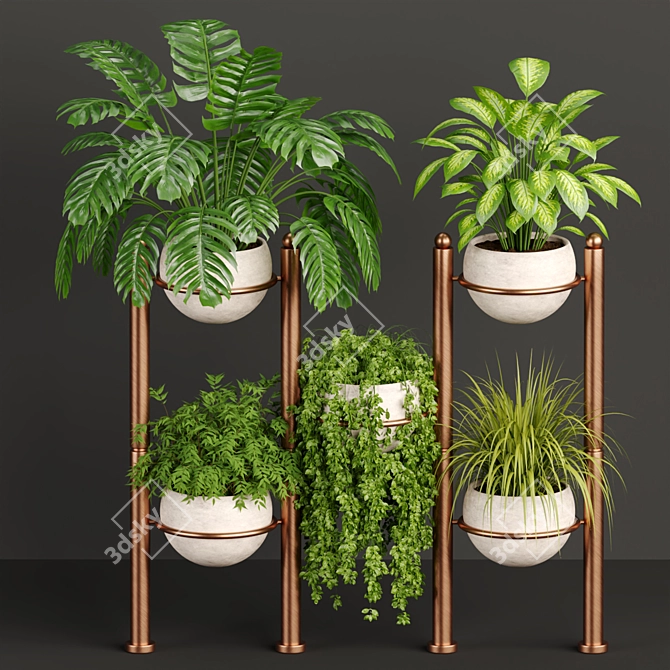 Tropical Oasis Indoor Plants 3D model image 1