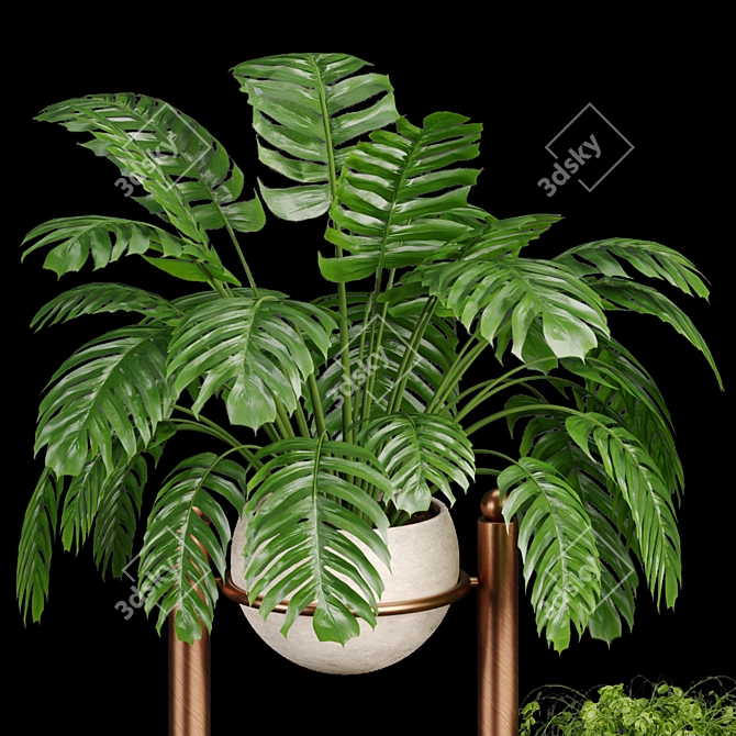 Tropical Oasis Indoor Plants 3D model image 3