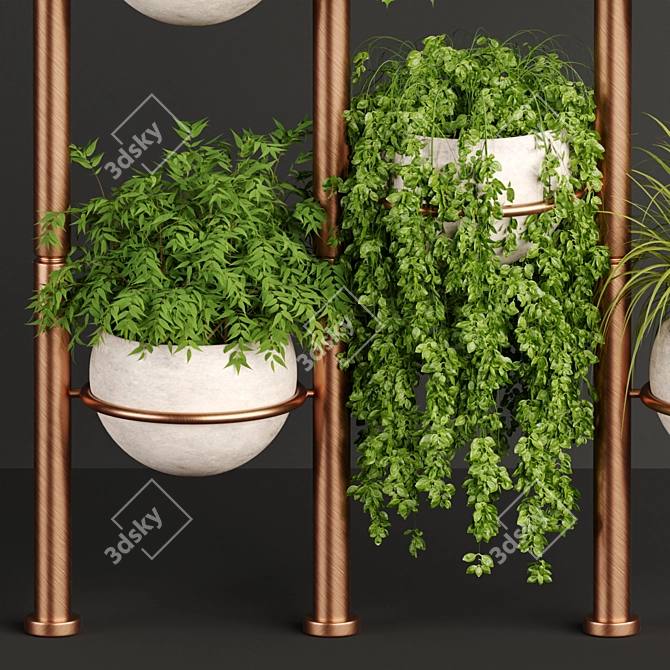 Tropical Oasis Indoor Plants 3D model image 4