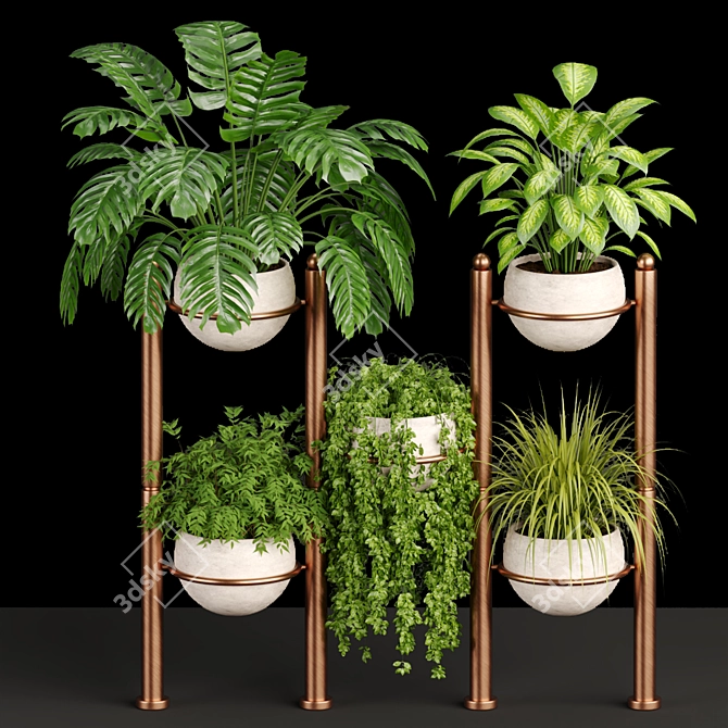 Tropical Oasis Indoor Plants 3D model image 7