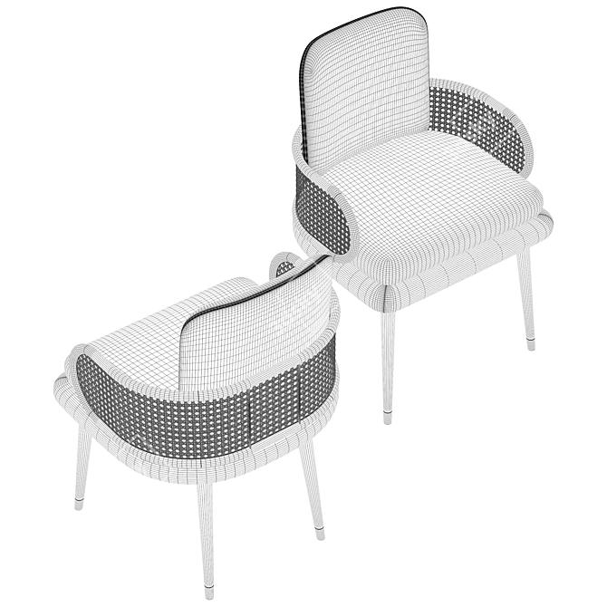 Elegant Blakey Dining Chair 3D model image 5