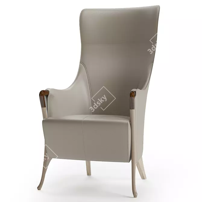 Luxury Giorgetti Progetti High-back Leather Armchair 3D model image 2