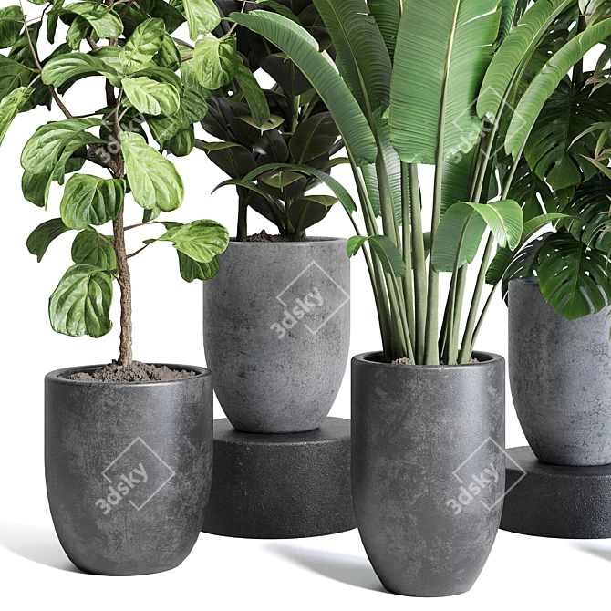 129 Concrete Pot Plant Collection 3D model image 2