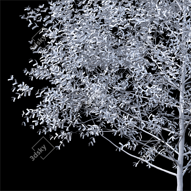 3D Tree Corona Render - High Poly 10m 3D model image 3