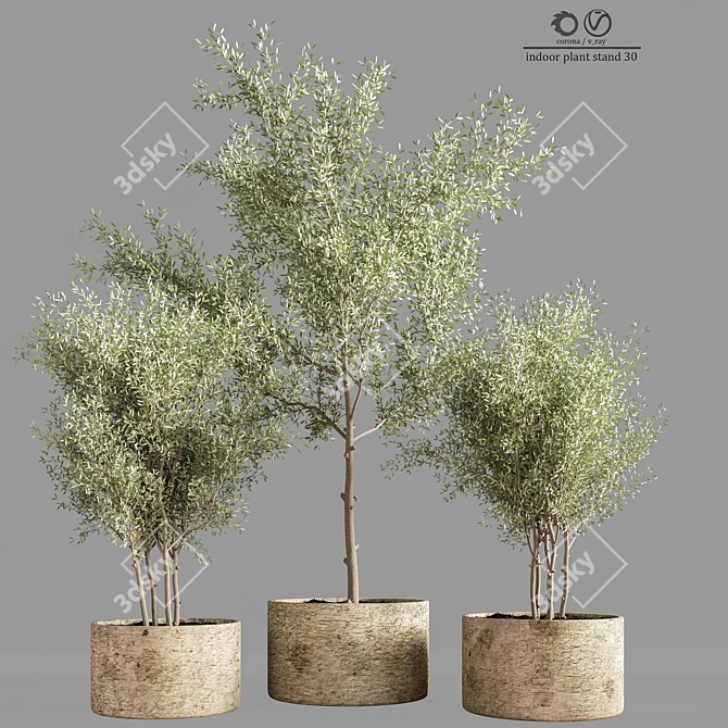 Elegant 30cm Indoor Plant Stand 3D model image 1