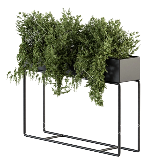 Ultimate Indoor Plant Box Set 3D model image 1