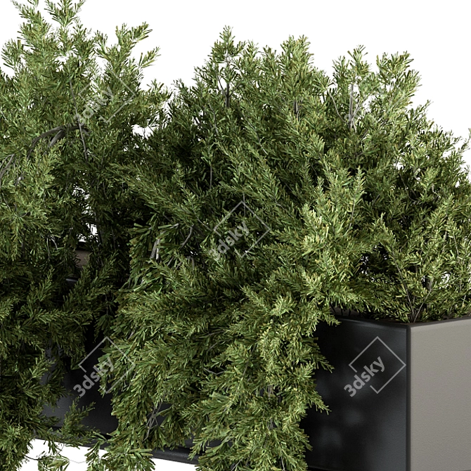 Ultimate Indoor Plant Box Set 3D model image 3