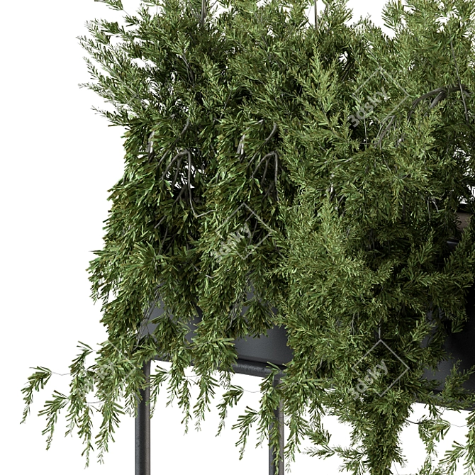 Ultimate Indoor Plant Box Set 3D model image 4