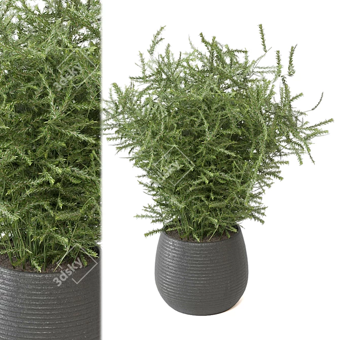 Botanical Bliss: Indoor Plants Set 3D model image 1