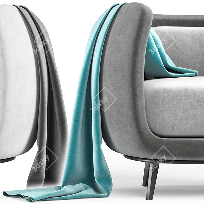Pacific Moroso Contemporary Sofa 3D model image 2