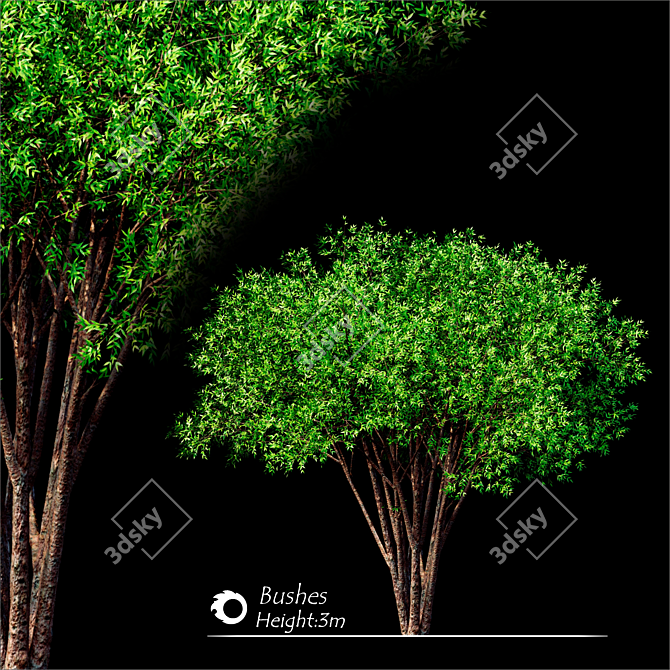 Corona Tree Render - High-Quality 3D Model 3D model image 1