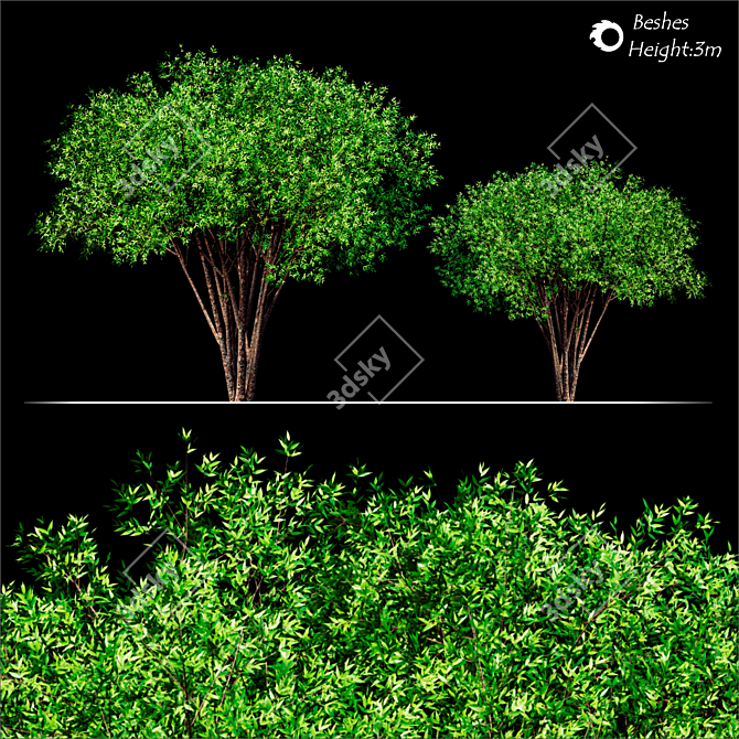 Corona Tree Render - High-Quality 3D Model 3D model image 2