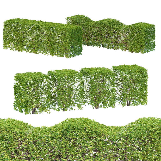 Versatile Outdoor Bush Collection 3D model image 1