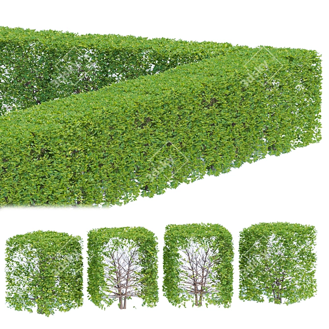 Versatile Outdoor Bush Collection 3D model image 3