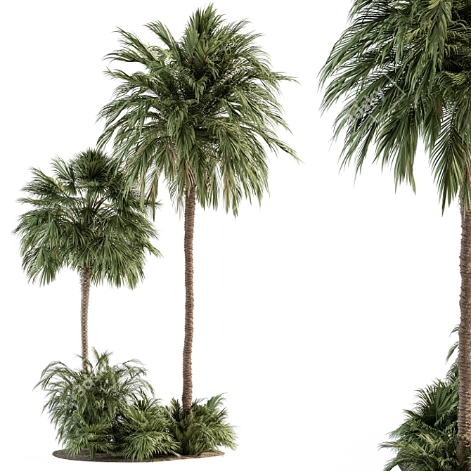 Tropical Oasis Garden Set 3D model image 1