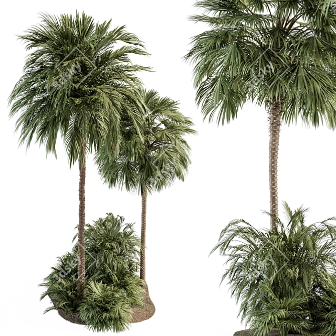 Tropical Oasis Garden Set 3D model image 2