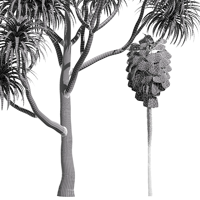 Tangihua Northland Mex. Fan Palm: 4K Texture, Multiple Models & Render Engines 3D model image 6