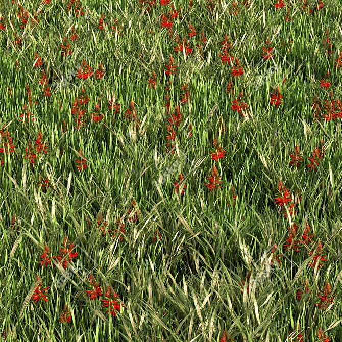 Versatile Grass Collection for Stunning Landscapes 3D model image 1