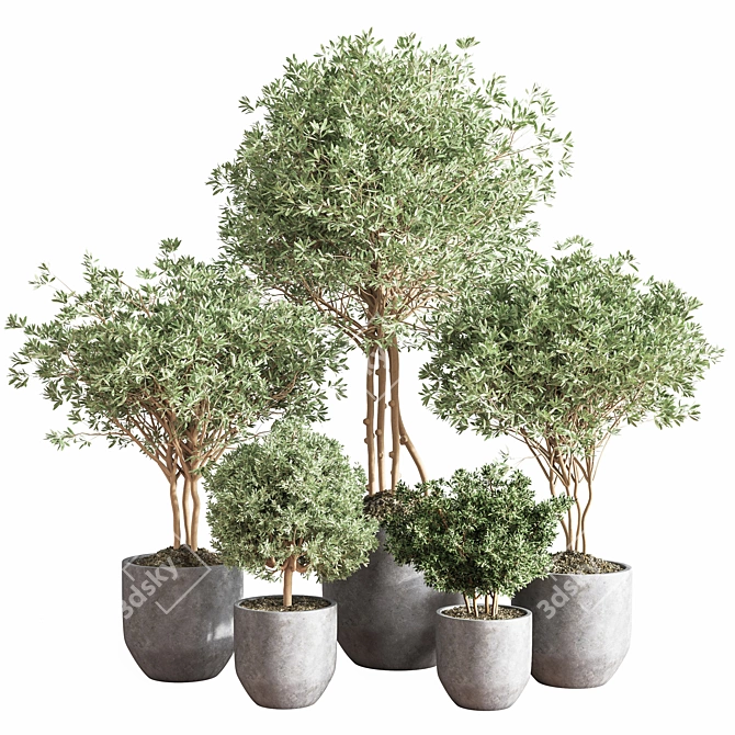 Cascading Greenery Indoor Plant Set 3D model image 1