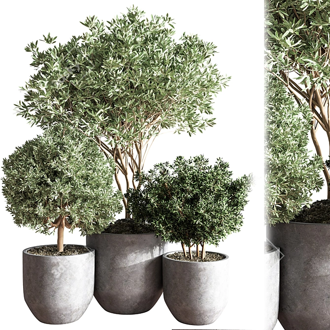 Cascading Greenery Indoor Plant Set 3D model image 2