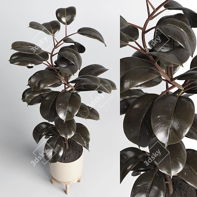 Natural Wood Pot Collection for Indoor & Outdoor Ficus and Rubber Plants 3D model image 2