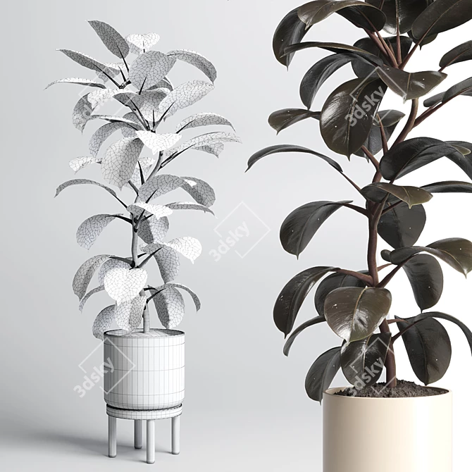 Natural Wood Pot Collection for Indoor & Outdoor Ficus and Rubber Plants 3D model image 3