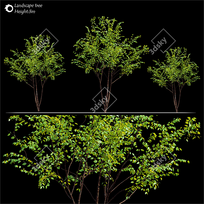 3m Tree Corona Render: High-Quality 3D Model 3D model image 2