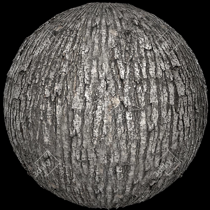 Seamless 4K Scanned Bark Texture 3D model image 1