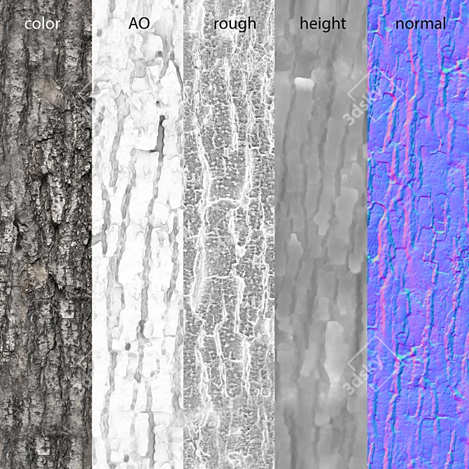 Seamless 4K Scanned Bark Texture 3D model image 2