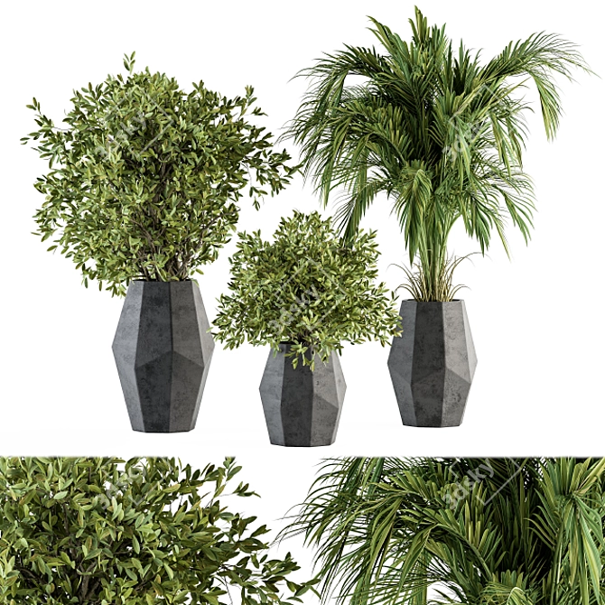 304 Indoor Plant Set: Potted Greenery 3D model image 1