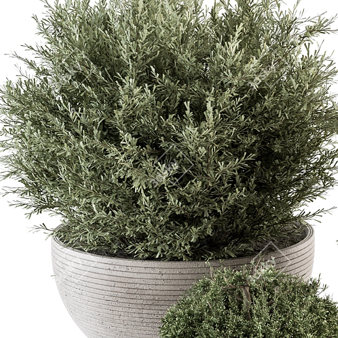 Lush Greenery Bundle - Gray Pot 3D model image 3