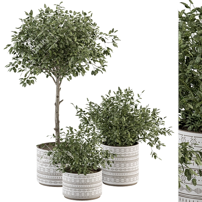 Green Oasis: Indoor Plant Set 3D model image 1