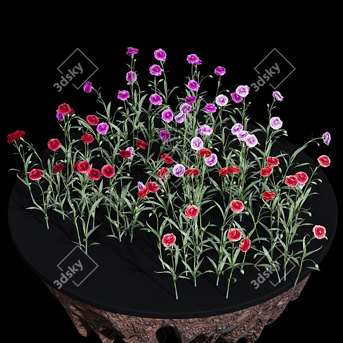 Elegant Fringe Lily Plants 3D model image 4
