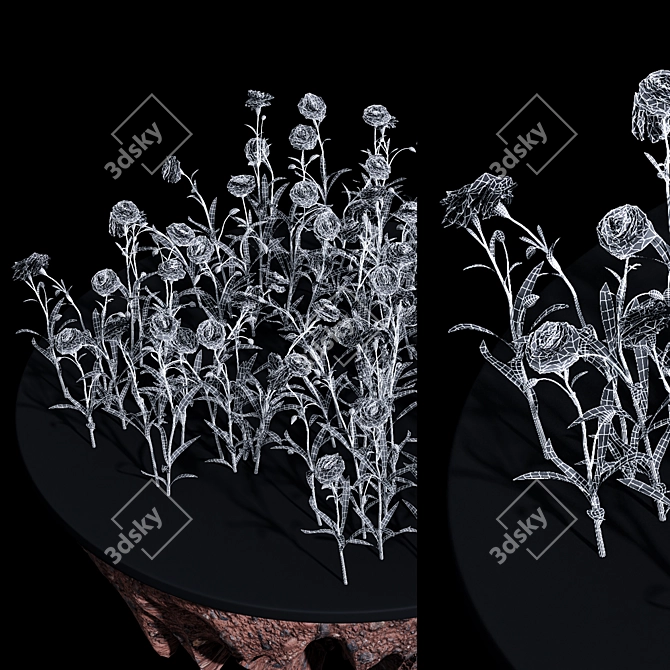 Elegant Fringe Lily Plants 3D model image 5
