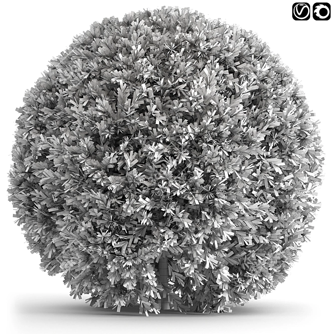 Sleek Spherical Bushes 3D model image 3