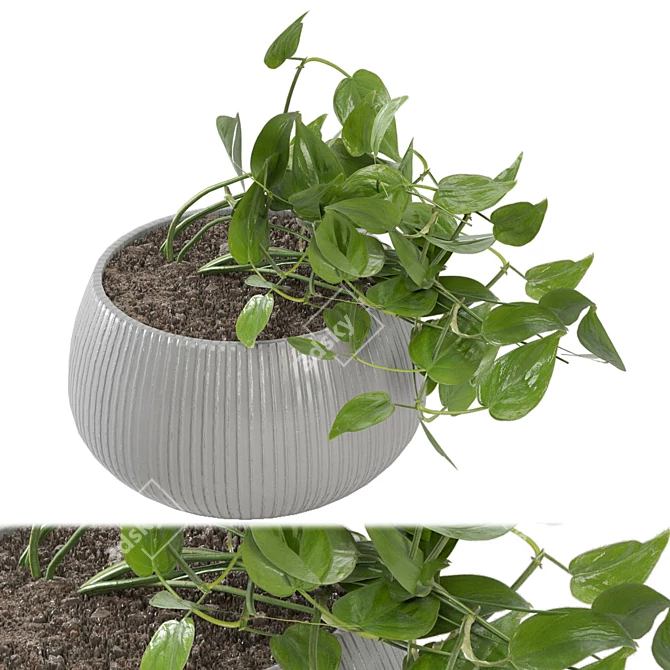 Green Oasis: Indoor Plants Set 3D model image 1
