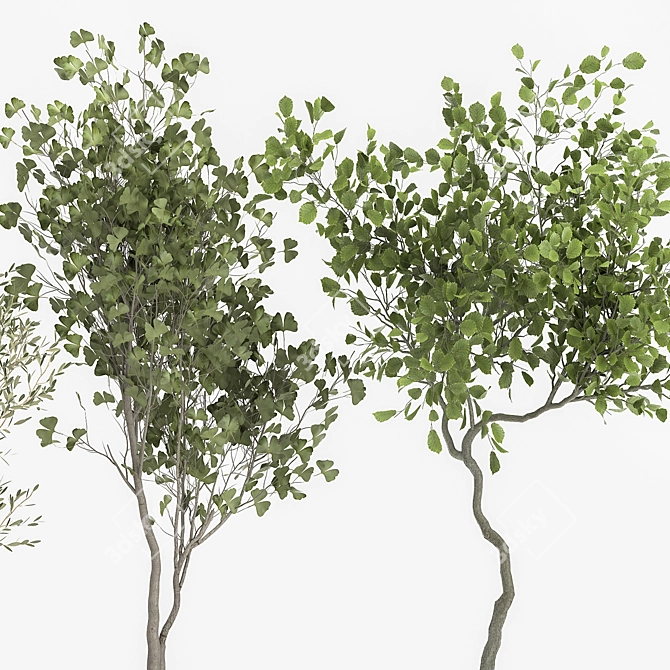 Olive Tree, Ginkgo Biloba & More: 1050-Piece Decorative Plant Collection 3D model image 3