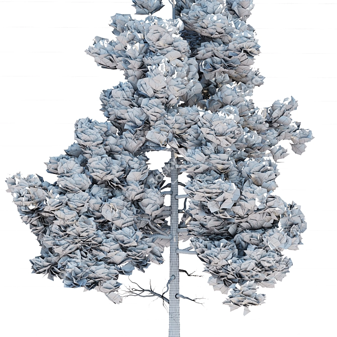 Pine Trees Pack Vol. 39 - High-Quality 3D Models 3D model image 5