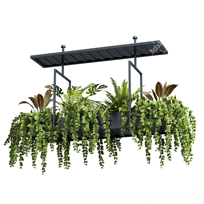 Hanging Plant Set - 05 Varieties 3D model image 1