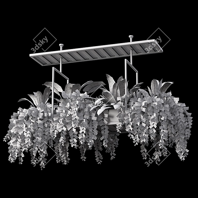 Hanging Plant Set - 05 Varieties 3D model image 5