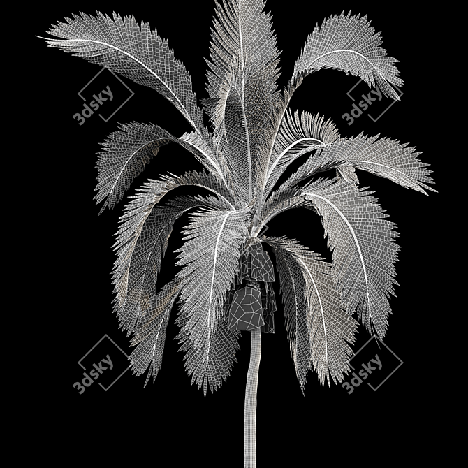 Tall Palm Trees - High-Quality 3D Models 3D model image 6