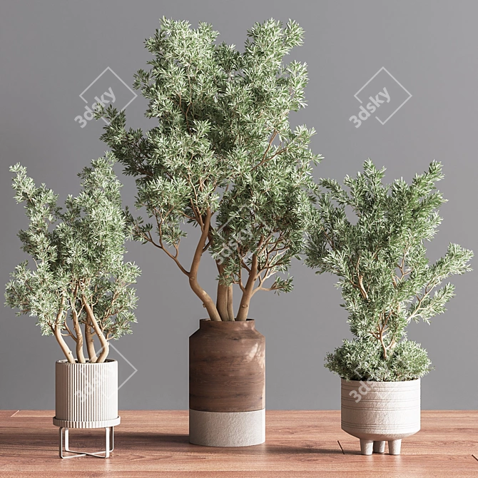 Lush Indoor Plant Set 3D model image 5