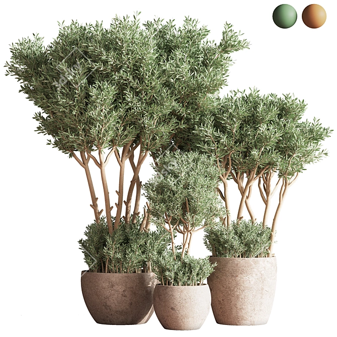 Green Oasis Indoor Plant Set 3D model image 2